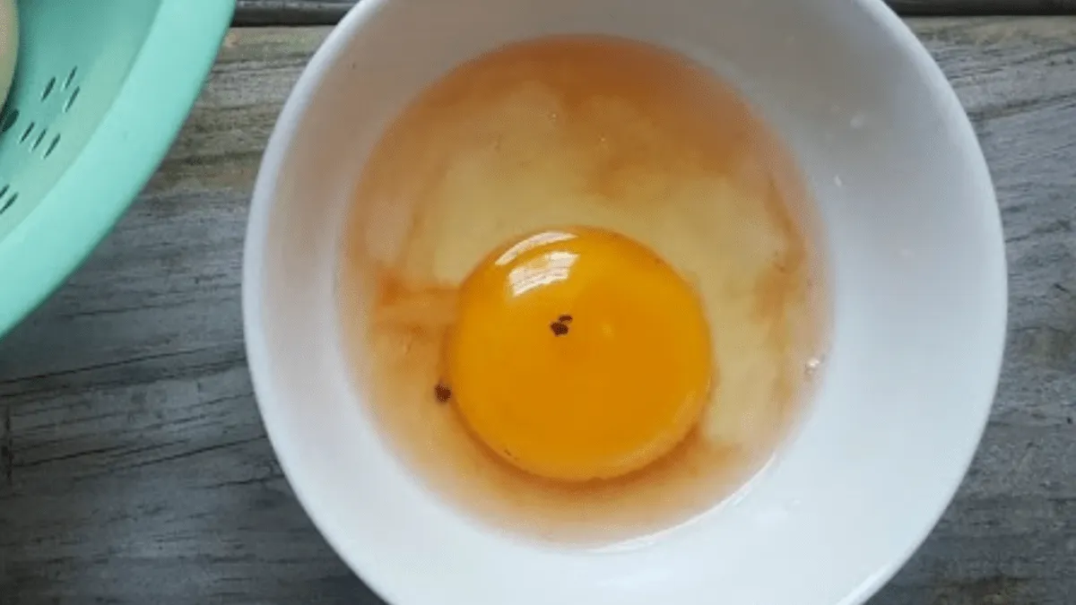 Vad betyder den röda fläcken i ditt ägg?