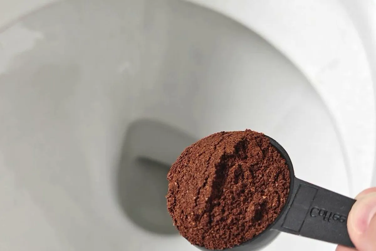 Återupptäck kaffesumpen: din nya bästa vän för hemmet