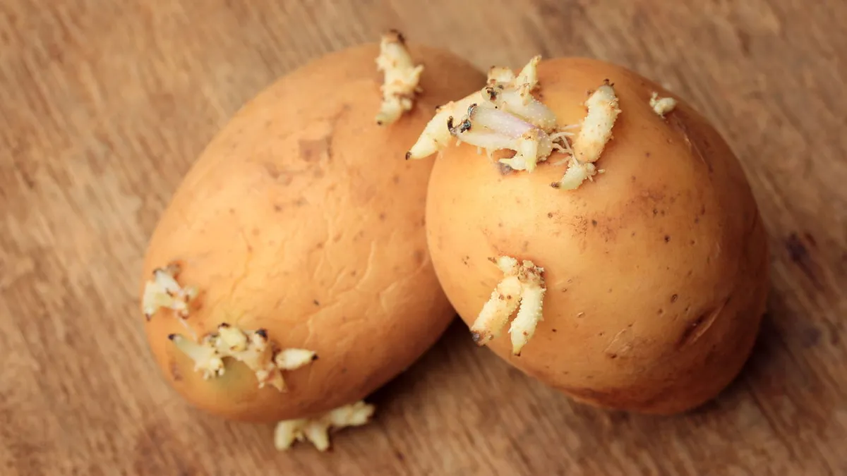 Spara potatis längre — frystricket som bevarar smaken